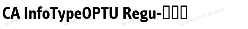CA InfoTypeOPTU Regu字体转换